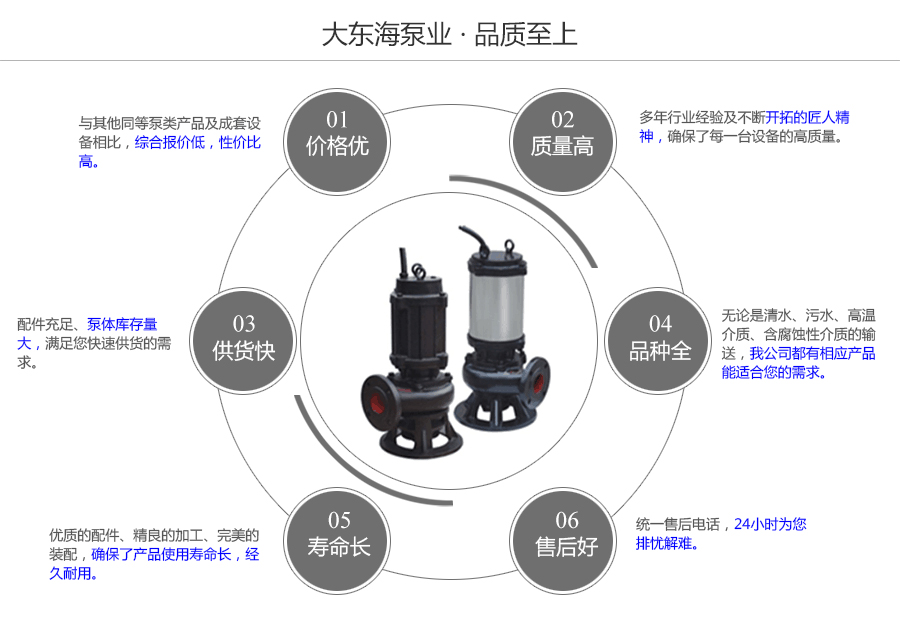 大東海泵業(yè)WQ型排污泵質(zhì)量保證圖