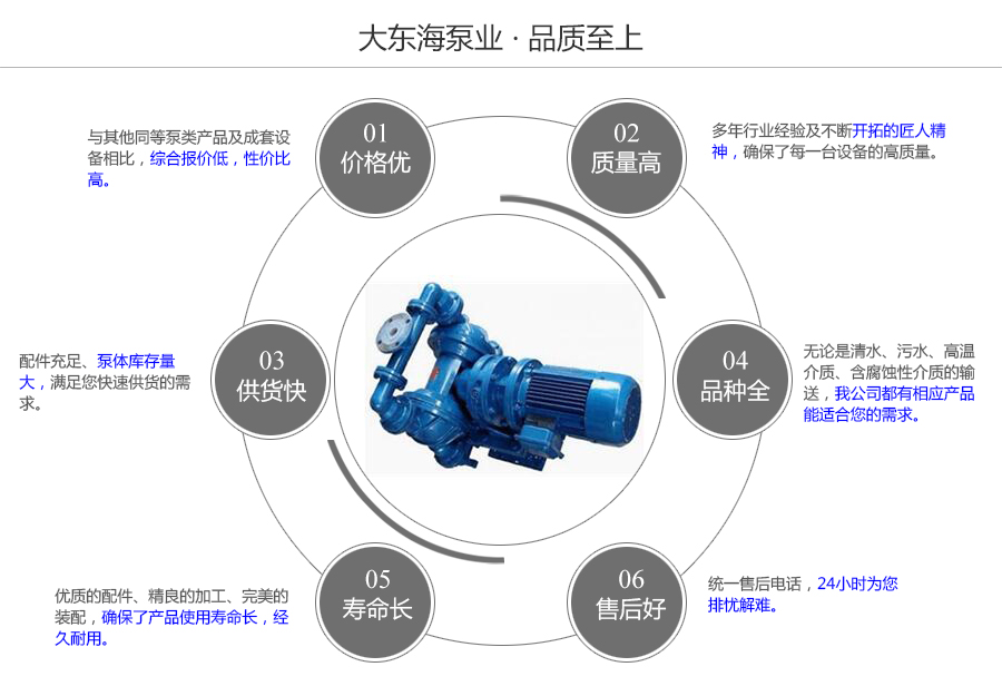 大東海泵業(yè)電動隔膜泵質(zhì)量保證圖