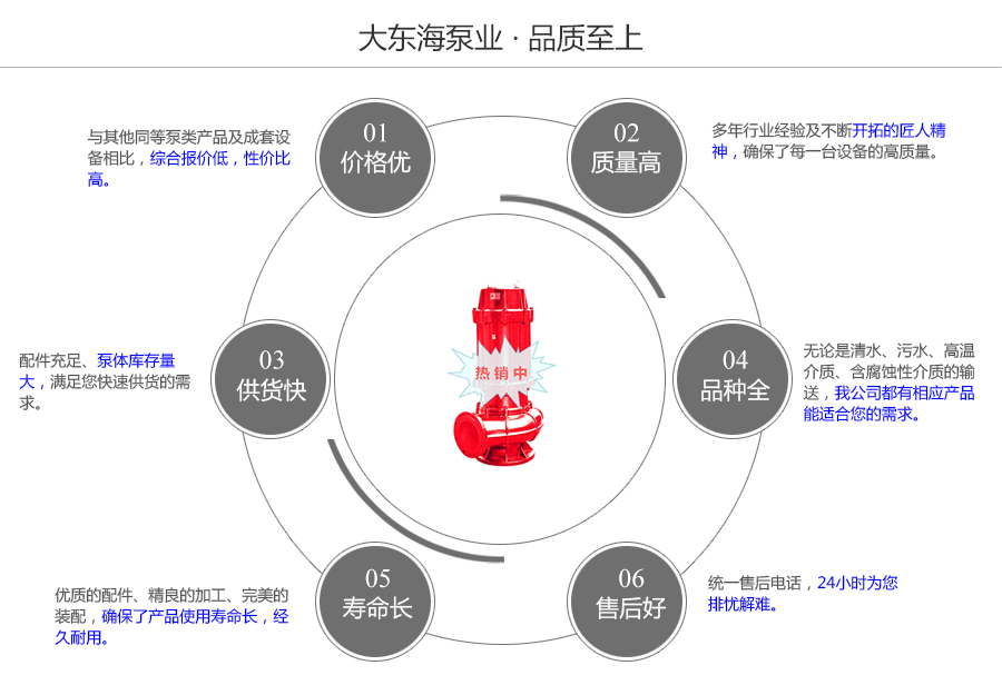 大東海泵業(yè)WQR型熱水潛水排污泵質量保證圖